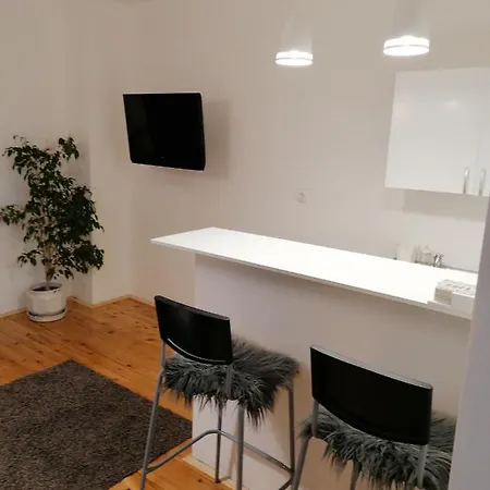 Apartman Aleksic *