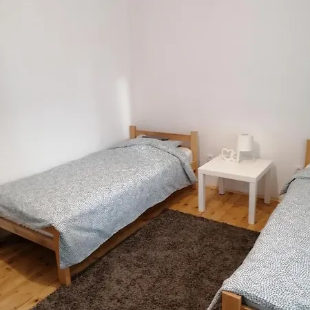 Aleksic Apartman *