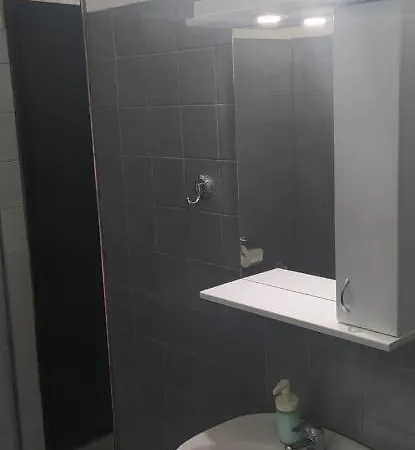 Aleksic Apartman